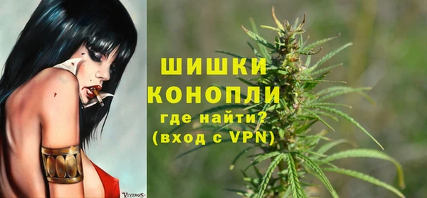 хмурый Магас