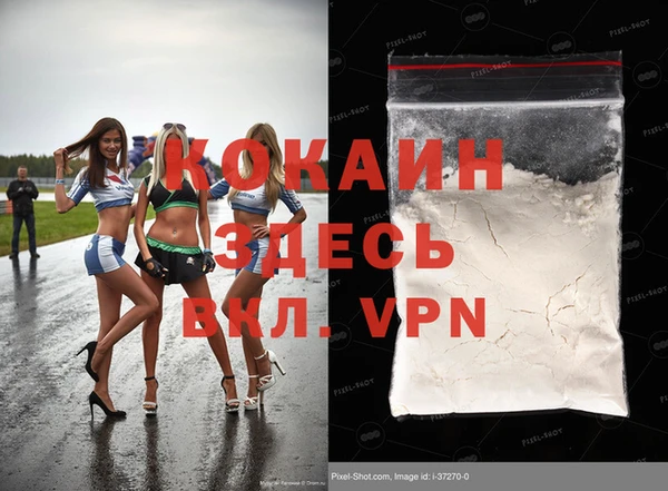 хмурый Магас