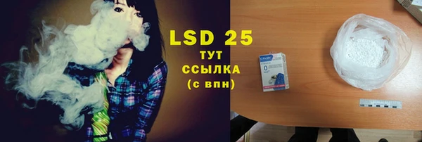 хмурый Магас