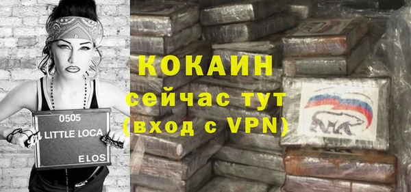хмурый Магас