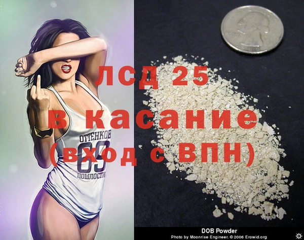 хмурый Магас