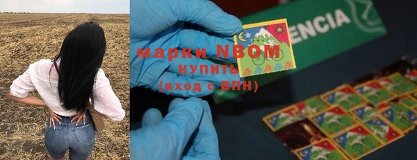 хмурый Магас