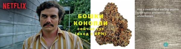 ГАЛЛЮЦИНОГЕННЫЕ ГРИБЫ Майский