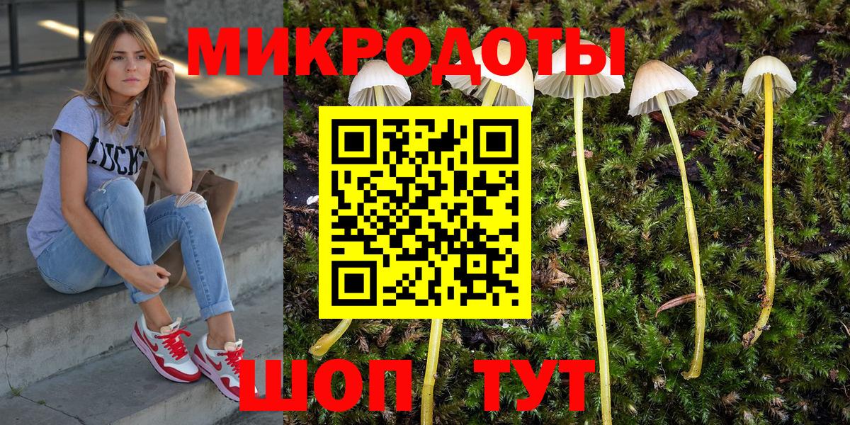 Псилоцибиновые грибы Cubensis Нефтеюганск