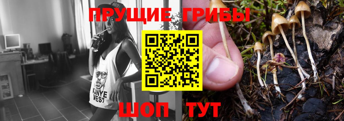 Нефтеюганск  Псилоцибиновые грибы Cubensis  Вход с VPN 